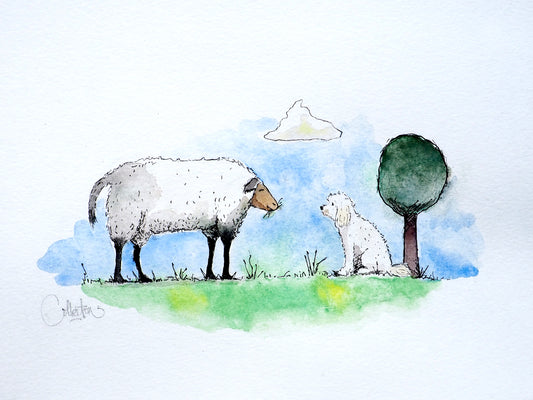 Bruno & Sheep
